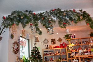 Vánoce v Rozkvetlém domově